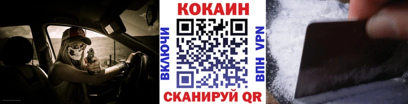 закладки Дорогобуж COCAIN Fish Scale