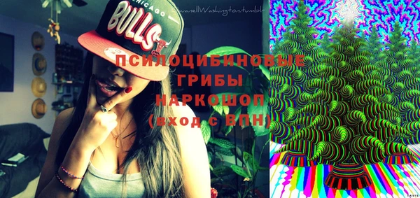 прущая мука Арсеньев