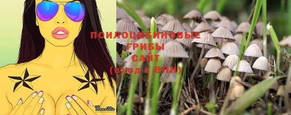 MDMA Армянск